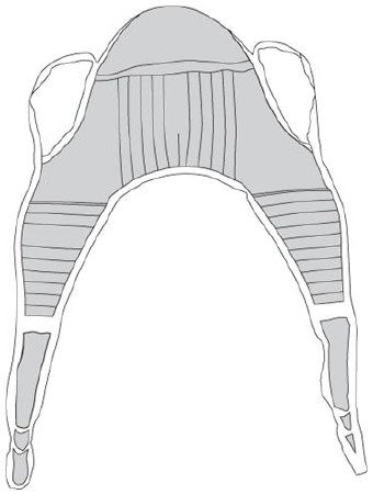 Picture of Seat U Sling 4 or 6 Point With Head Support Straps - Attached X-Large 600 lbs. Weight Capacity13220XL