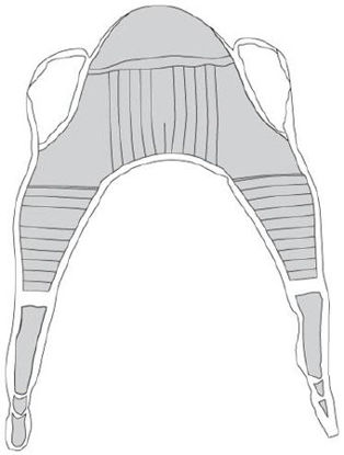 Picture of Seat U Sling 4 or 6 Point With Head Support Straps - Attached X-Large 600 lbs. Weight Capacity13220XL