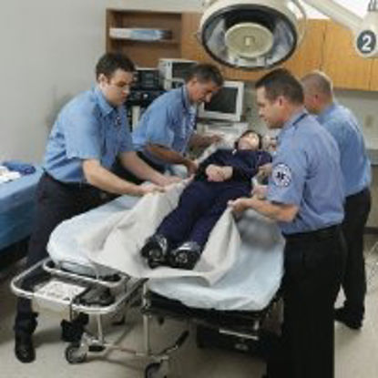 Picture of Transfer Sheet MegaMover® 350i Gray 50 X 84 Inch52037