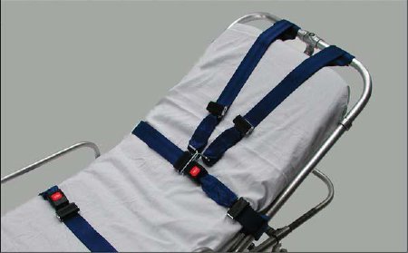 Picture of Shoulder Harness Strap System1285