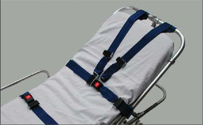 Picture of Shoulder Harness Strap System1285