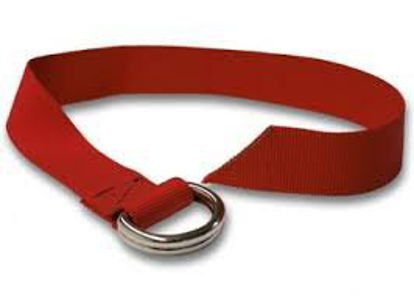 Picture of Backboard StrapMTR-50015