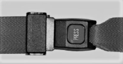 Picture of McKesson Stretcher Strap11152MAM