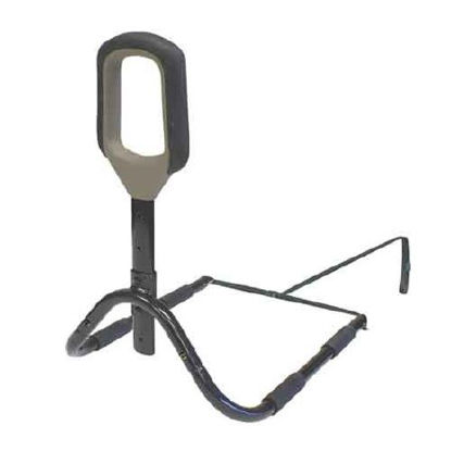 Picture of Bed Grab Bar PT BedCane Black Aluminum2100