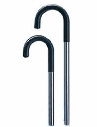 Picture of Round Handle Cane Carex® Aluminum 29 to 38 Inch Height SilverFGA75600 0000