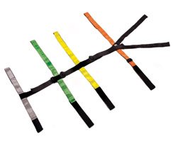 Picture of Fastrap™ Quick Restraint System0313916