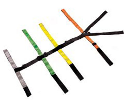 Picture of Fastrap™ Quick Restraint System0313916