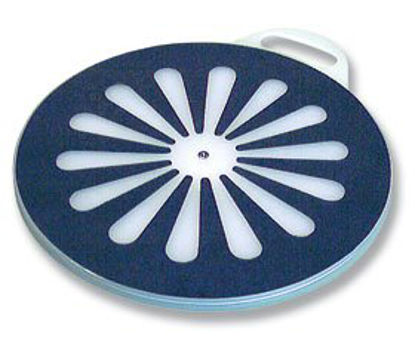 Picture of Pivot Disc SafetySure®78597