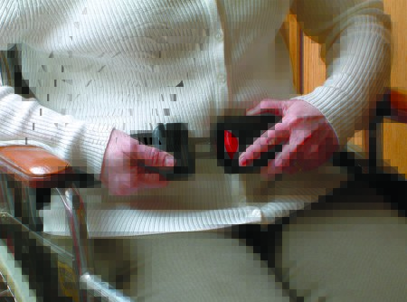 Picture of Seat BeltTL-2109