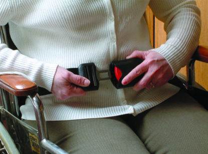 Picture of Seat BeltTL-2109