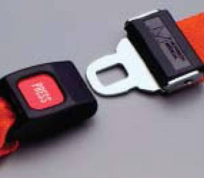 Picture of Strap1310XYL