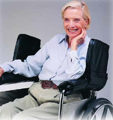 Picture of Side Wings For Wheelchair706320