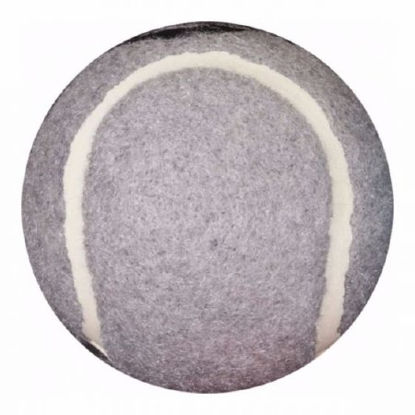 Picture of Briggs Tennis Ball Glide565496