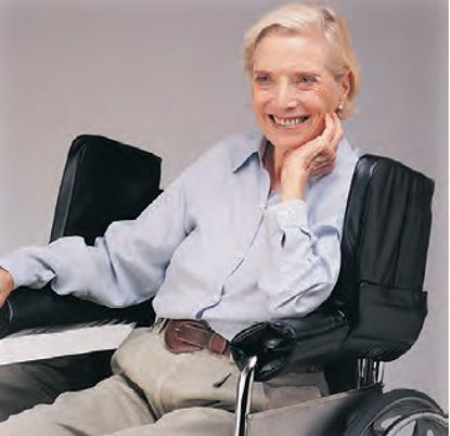 Picture of Wheelchair Side Wing For Wheelchair706322