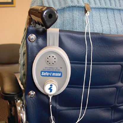 Picture of Alarm System Safe•t mate® 2-1/2 X 2-3/4 X 3-3/4 Inch Gray6791