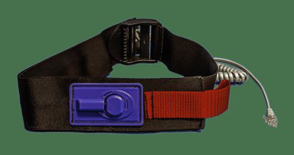 Picture of Seat BeltTL-2109V-1XTRA-FT