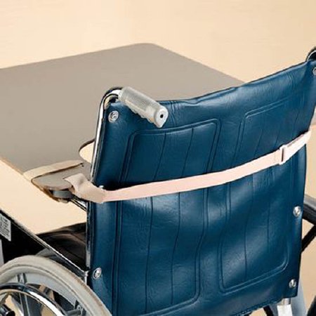 Picture of Back Strap Fastening System606305