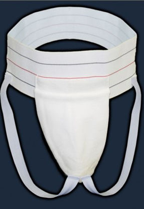 Picture of Athletic Supporter Large322L