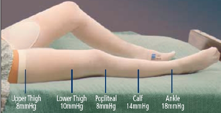 Picture of Anti-embolism Stocking T.E.D.™ Thigh High X-Large / Long White Inspection Toe3182LF
