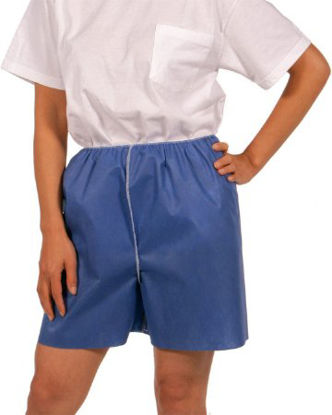 Picture of Exam Shorts 3 X-Large Blue Paper Adult DisposableS73X-4