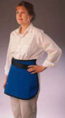 Picture of X-Ray Apronette Royal Blue69096-20