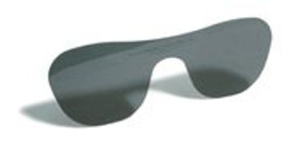 Picture of Post Mydriatic Glasses Flat Gray Tint Plastic Lens Slip-in One Size Fits MostOS-941