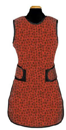 Picture of X-Ray Apron60030
