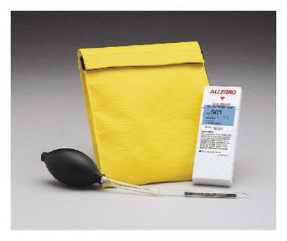 Picture of Allegro™ Irritant Smoke Fit Test Kit19805893