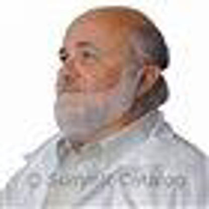 Picture of Beard Cover One Size Fits Most Blue24664005