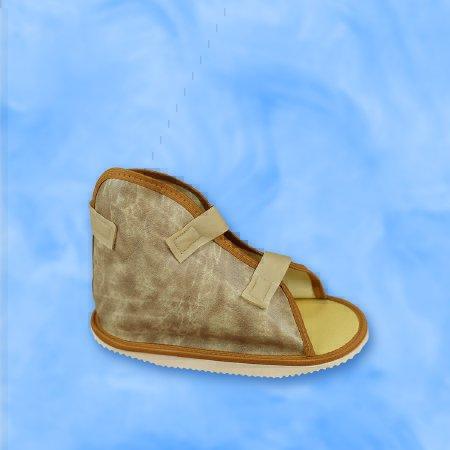 Picture of Cast Shoe Large Female2027-04