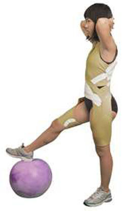 Picture of Orthopedic Garment TheraTogs™ Ultra Full Body System Full Body Large52416