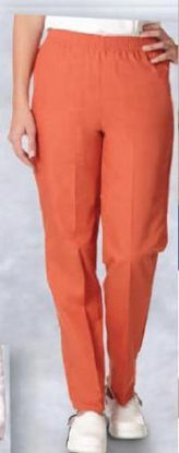 Picture of Scrub Pants X-Small Ceil Blue Female7456-XS