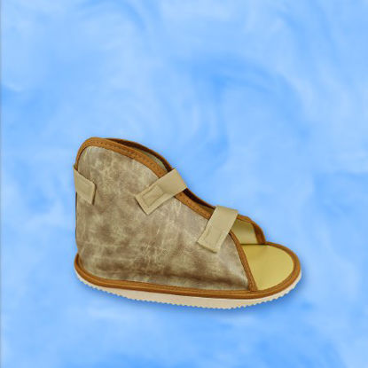 Picture of Cast Shoe Medium Female2027-03