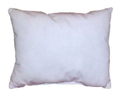 Picture of Bed Pillow Staphcheck® 18 x 24 Inch White ReusableV51-1824ST