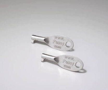 Picture of Replacement Key Silver Key and Tab1074