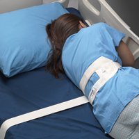 Picture of Roll Belt Quick-Release Buckle 2-Strap1231Q