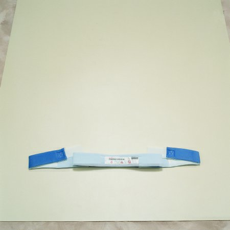 Picture of Torso Restraint Strap One Size Fits Most 2-StrapM9352-D