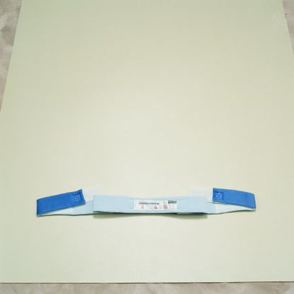 Picture of Torso Restraint Strap One Size Fits Most 2-StrapM9352-D