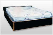 Picture of Mattress Cover Elkay 39 X 90 X 8 Inch Plastic For Twin Size MattressesK47