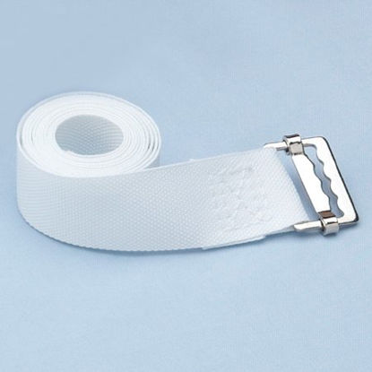 Picture of Hospital Bed Secure Strap2809