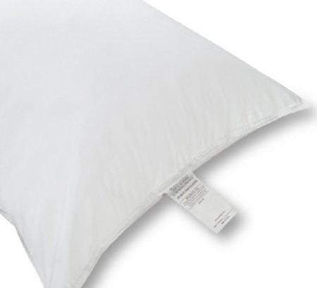 Picture of Hotel Pillow 18 X 24 Inch White Reusable24B1CC