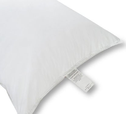 Picture of Hotel Pillow 18 X 24 Inch White Reusable24B1CC