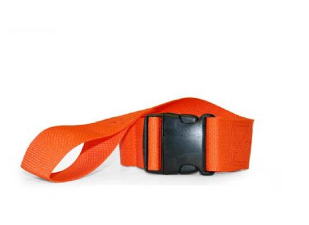 Picture of Restraint Strap One Size Fits Most Side-Release Buckle 2-Strap1390