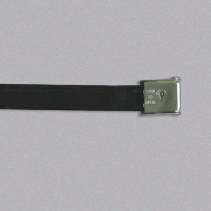 Picture of Connecting Straps/Belt 60 Inch, Biothane with Key Lock Buckle235160