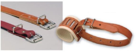 Picture of Restraint Belt X-Small Roller Buckle 1-StrapB-218-POLY