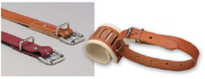 Picture of Restraint Belt X-Small Roller Buckle 1-StrapB-218-POLY