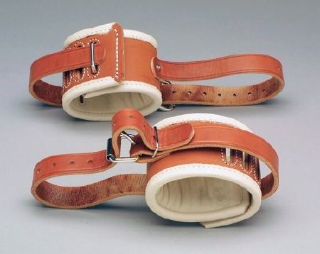 Picture of Ankle Restraint One Size Fits Most Roller BuckleAL-601-POLY