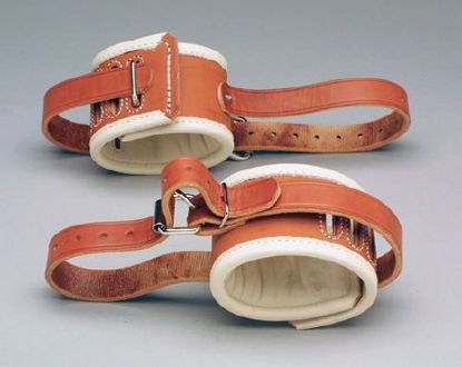 Picture of Ankle Restraint One Size Fits Most Roller BuckleAL-601-POLY