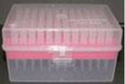 Picture of Pipette Tip Piccolo 0.1 mL Without Graduations07P0416