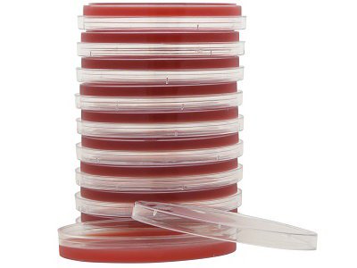 Picture of Prepared Media Tryptic Soy Agar (TSA) with 5% Sheep Blood Red Petri Plate FormatA10